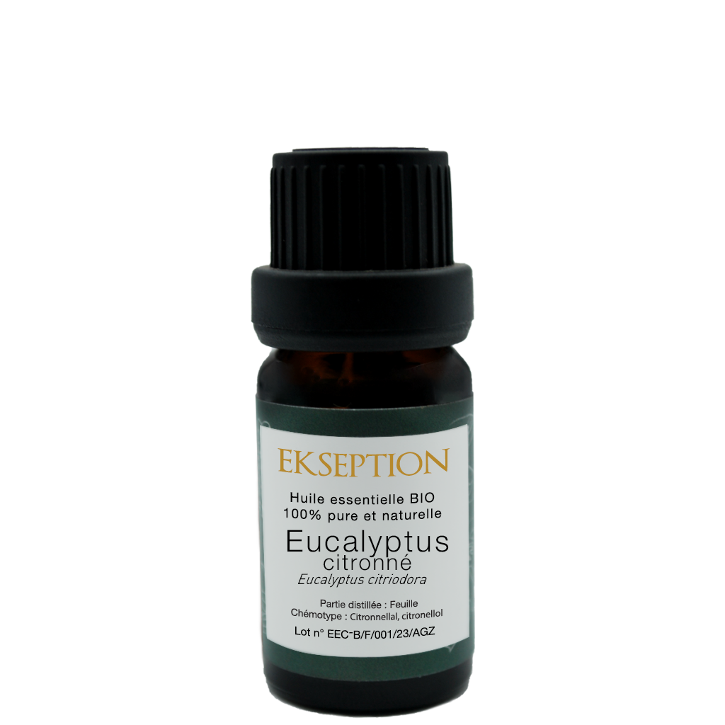 Eucalyptus Citronné