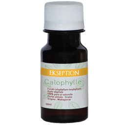 Calophylle